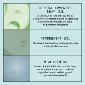 Set produse profesionale de par antimatreata pentru scalp iritat cu mancarimi Nioxin System Recovery Kit, 200 ml + 200 ml + 100 ml