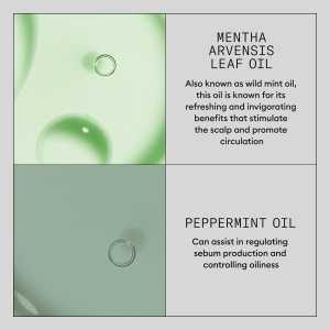 Sampon uscat pentru volum Nioxin Density Defend Volumising Dry Shampoo, 180 ml