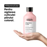 Sampon pentru par vopsit L’Oreal Professionnel Serie Expert VITAMINO COLOR RESVERATROL 300 ml