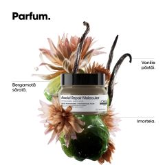 Masca pentru par deteriorat L'Oreal Professionnel ABSOLUT REPAIR MOLECULAR MASK, 500 ml