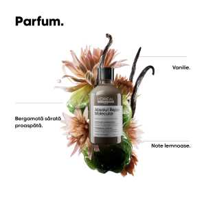Rezerva Sampon L’Oreal Professionnel Serie Expert Absolut Repair Molecular pentru par deteriorat, 500 ml