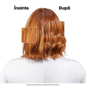 Trusa L'Oréal Professionnel Metal Detox (Sampon 300 ml+ Masca 250 ml)