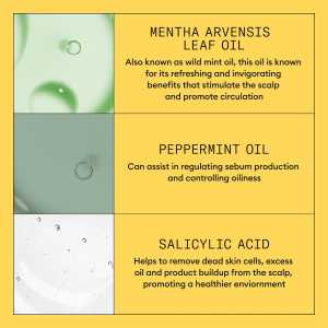 Sampon profesional fortifiant impotriva ruperii pentru par natural cu aspect usor subtiat Nioxin System 1 Scalp + Hair Shampoo, 1 l