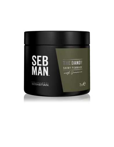 Pomada de par, fixare naturala SEB MAN The Dandy, 75 ml